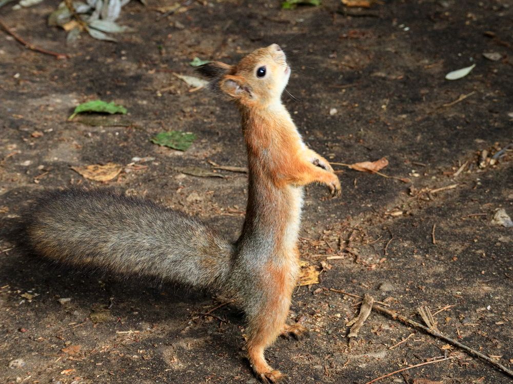 Photograph by Lyudmila Klimanova