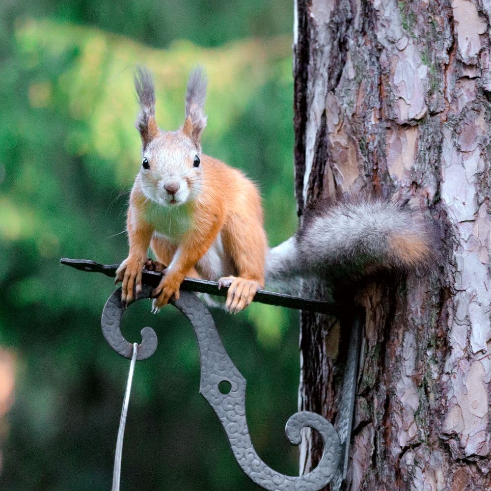 Photograph by Lyudmila Klimanova