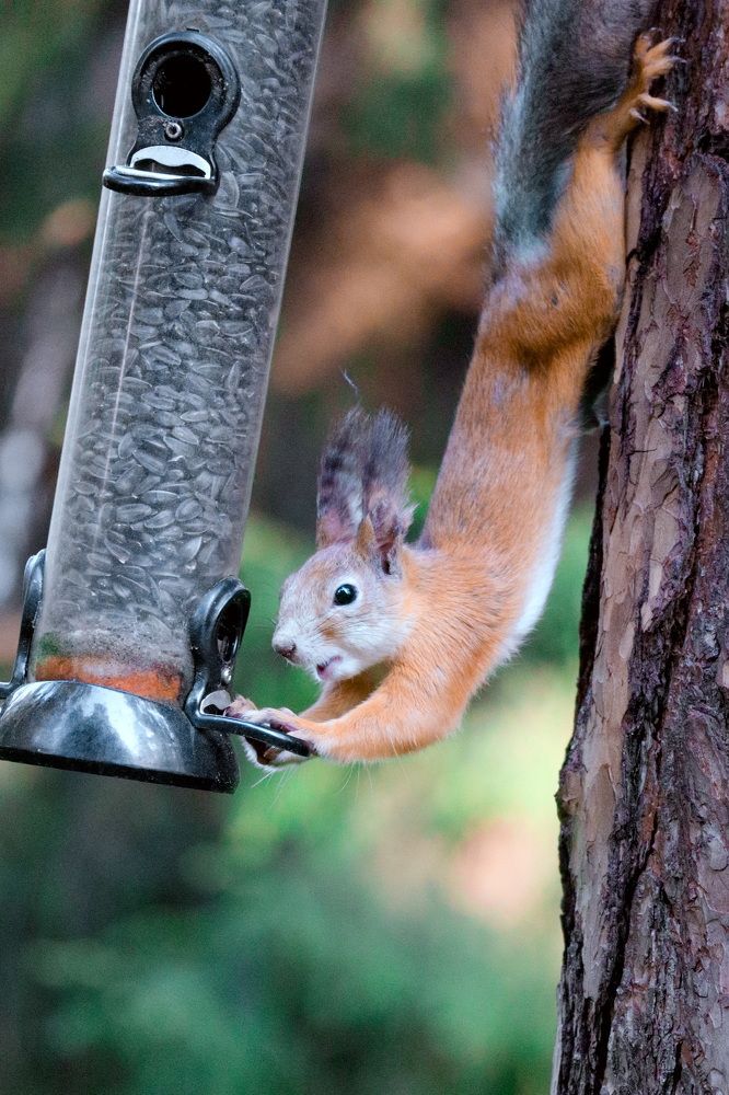 Photograph by Lyudmila Klimanova