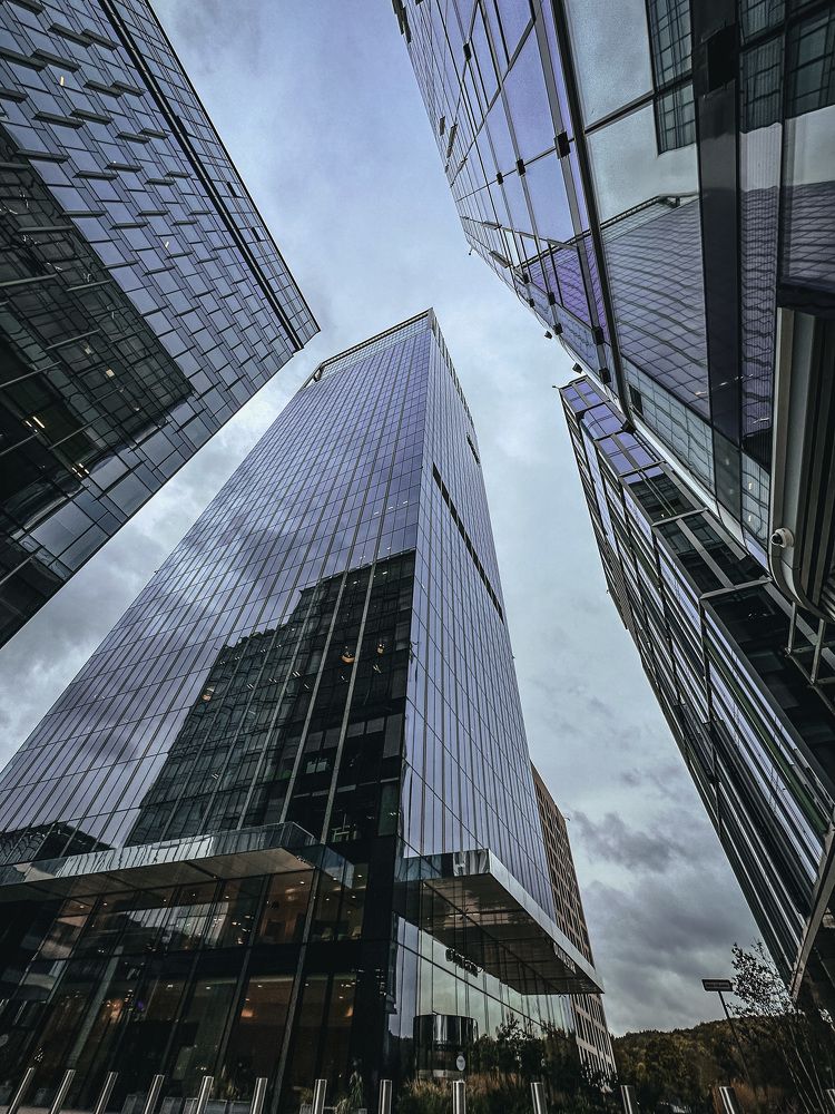 Фотография автора SvetlanaS