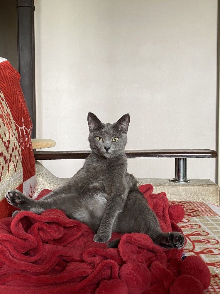 Photograph by Оксана Михайлова