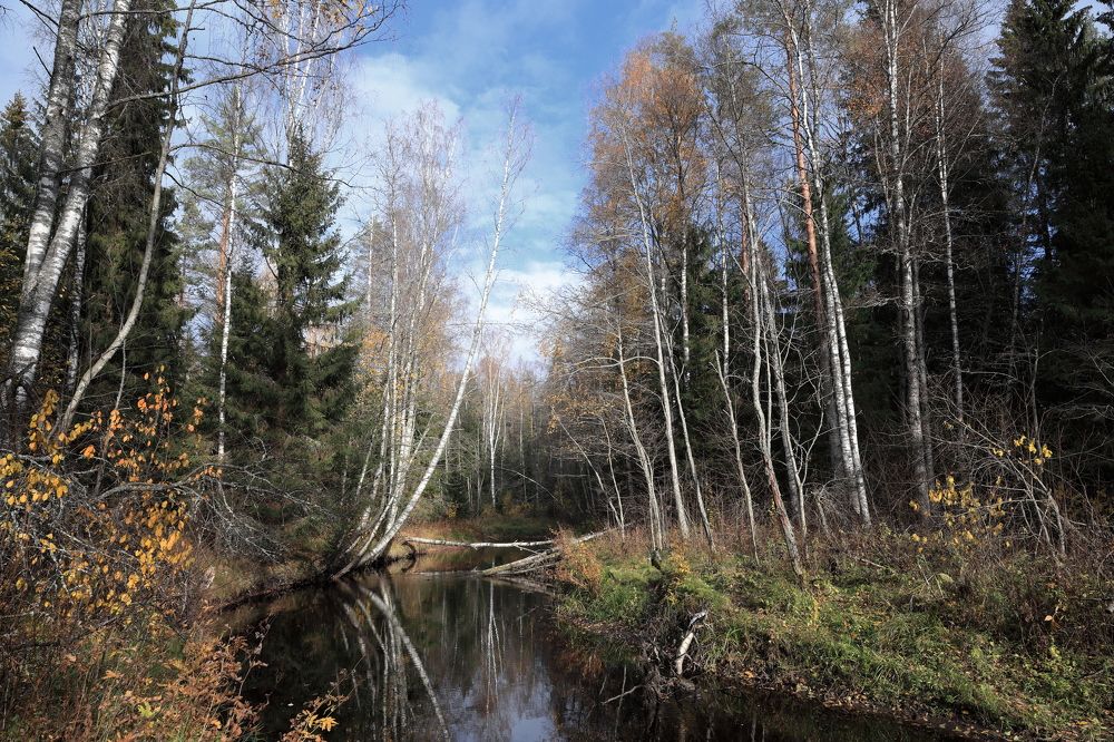 Photograph by МИТЮРИН АНДРЕЙ