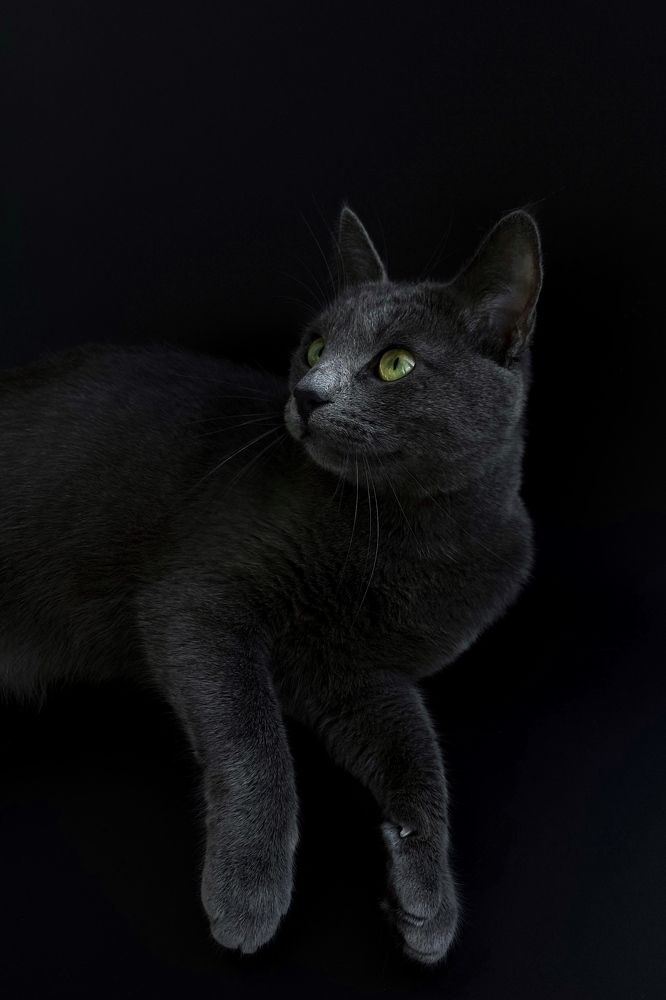 Photograph by Оксана Михайлова