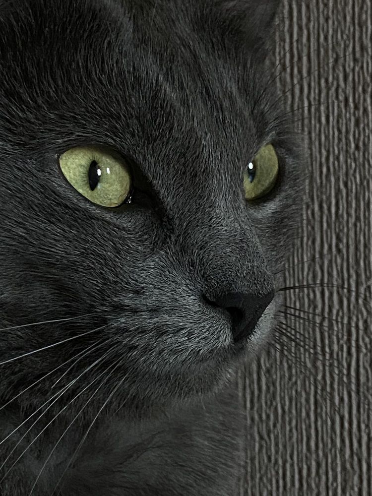 Photograph by Оксана Михайлова