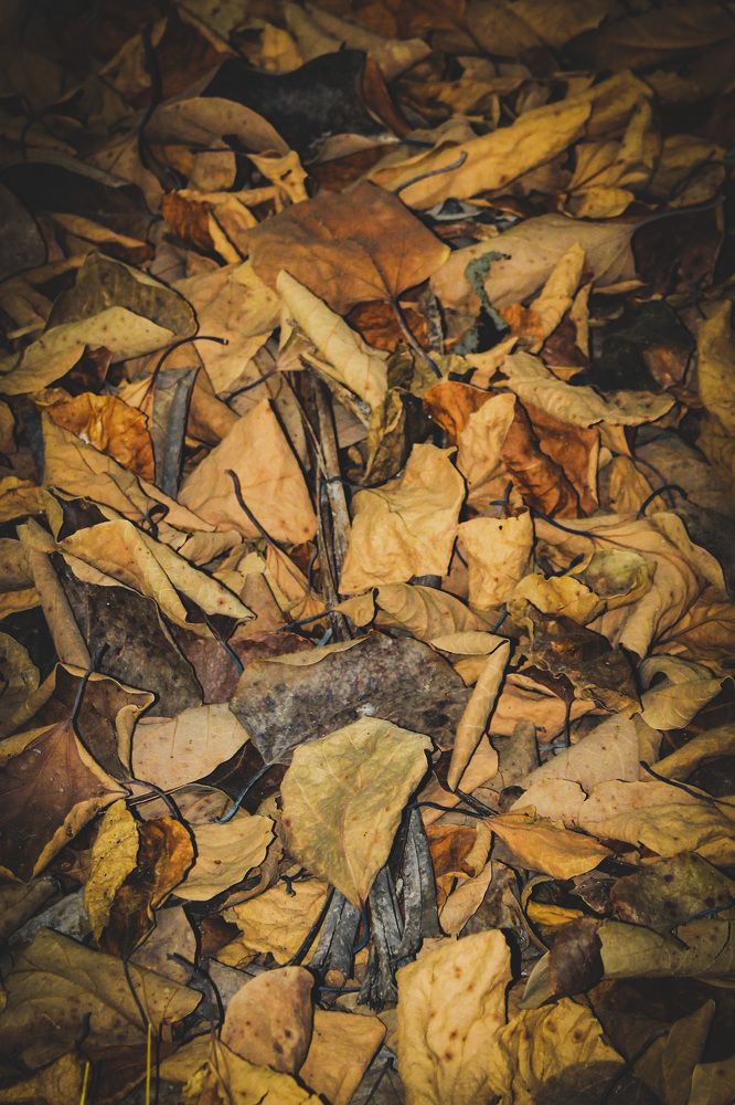 Photograph by Waleed Yousuf Alwahaibi