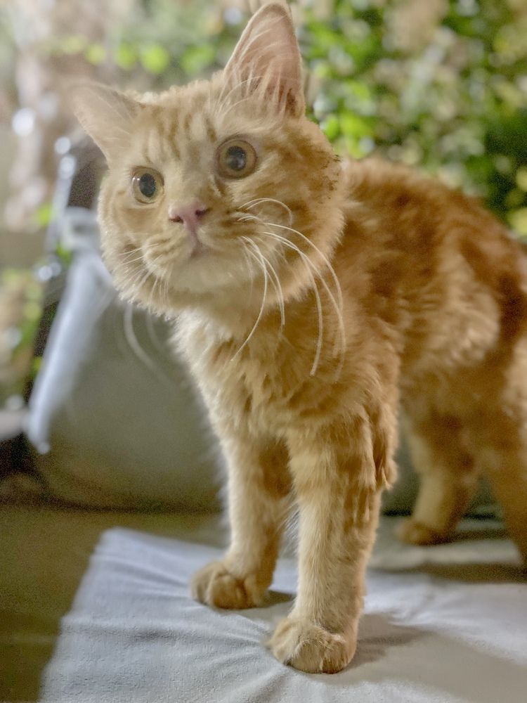 Photograph by Waleed Yousuf Alwahaibi