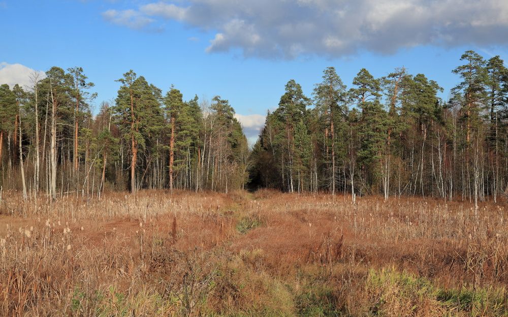 Photograph by МИТЮРИН АНДРЕЙ