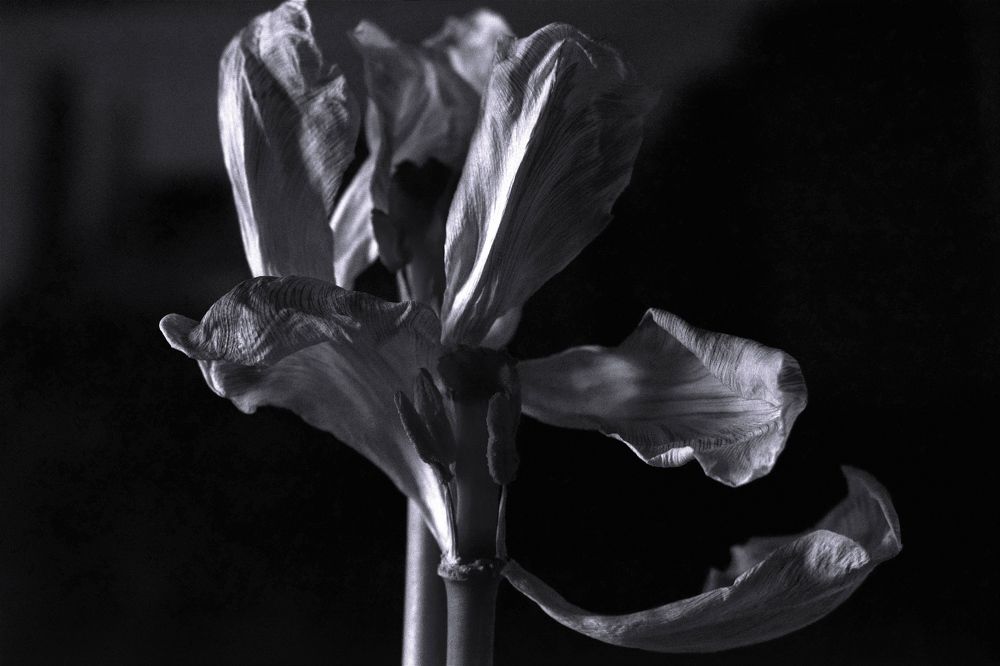 Photograph by Елена Процек