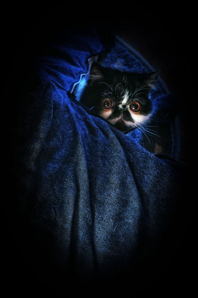 Photograph by Наталия Романова