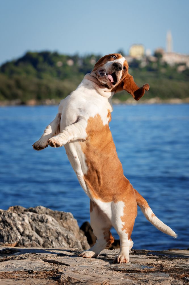 Photograph by Olga Shmeleva