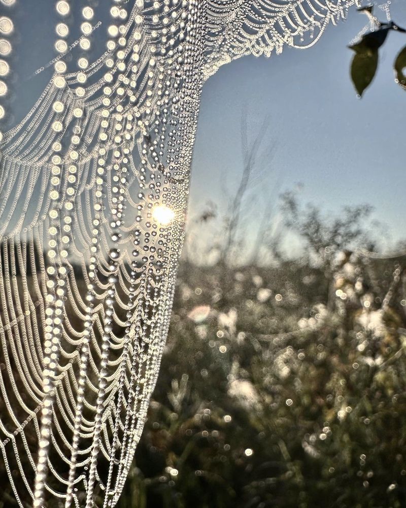 Photograph by Лариса Акинчиц