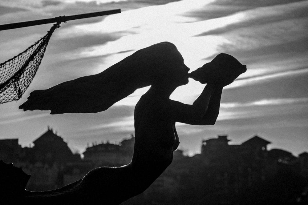 Фотография автора Алексей Головатый