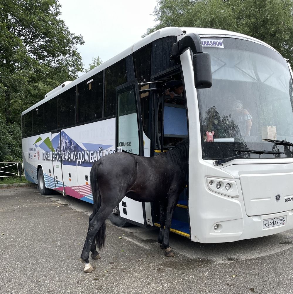 Эй, в автобусе, дайте что - нибудь вкусненькое.