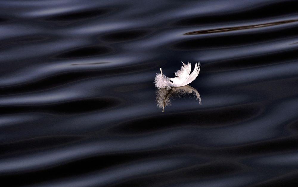 Фотография автора Антип