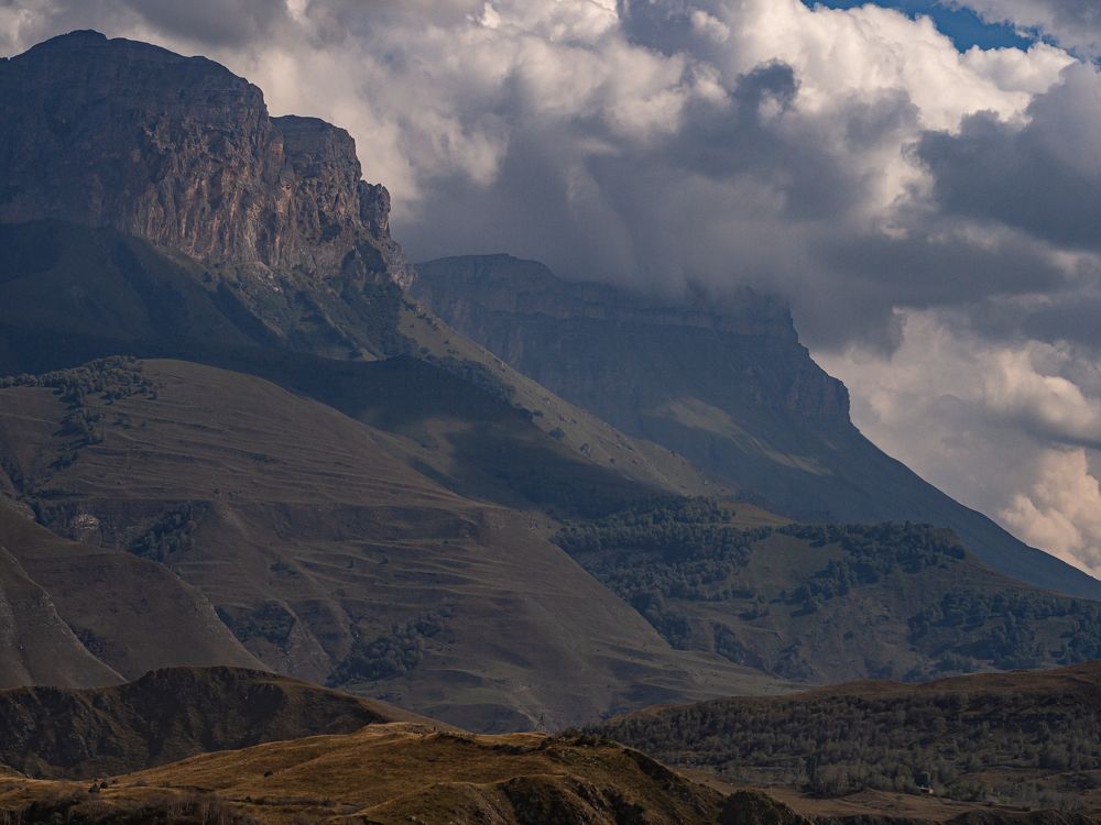 Photograph by Larisa Usova