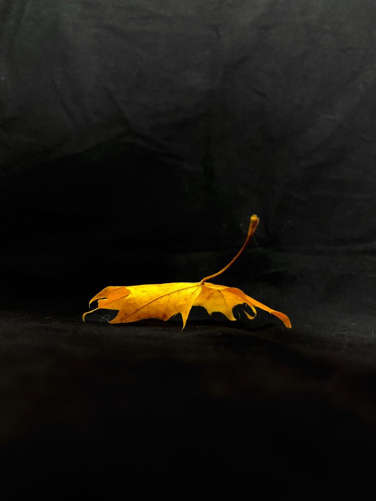 Photograph by Елена Макуха