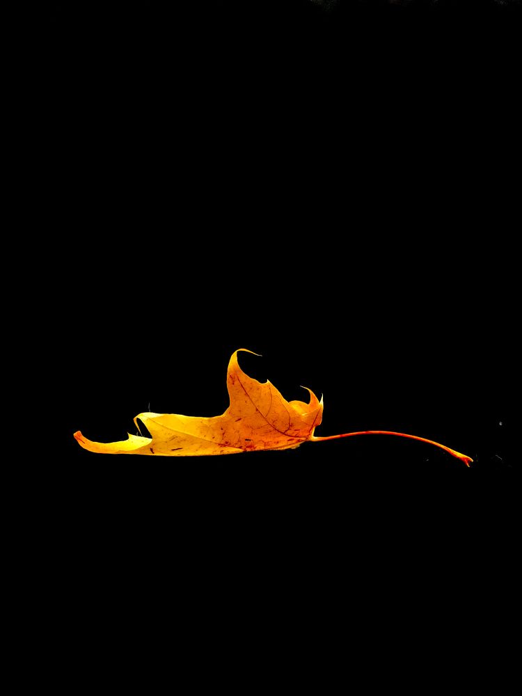 Photograph by Елена Макуха