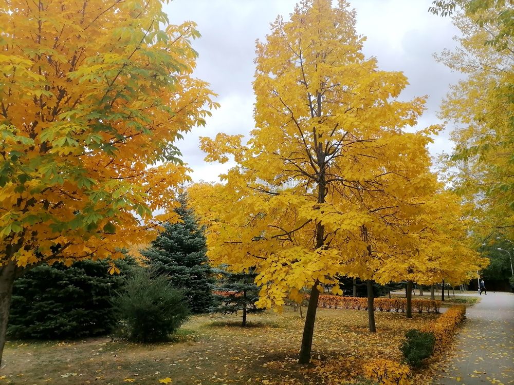 Photograph by Тамара Багровская