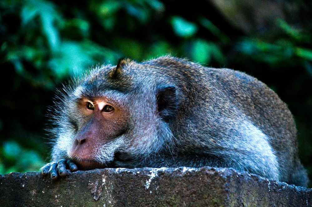 Photograph by Yana Vitkovskaya