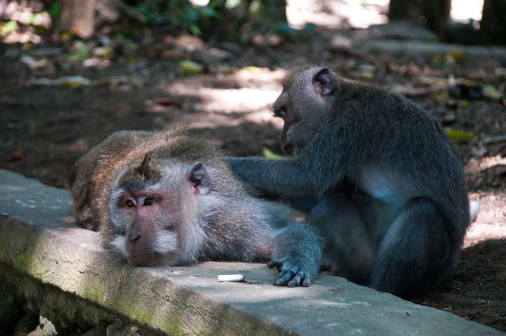 Photograph by Yana Vitkovskaya