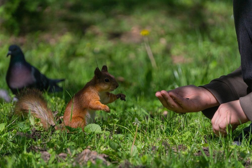 Photograph by Александр Ходакин