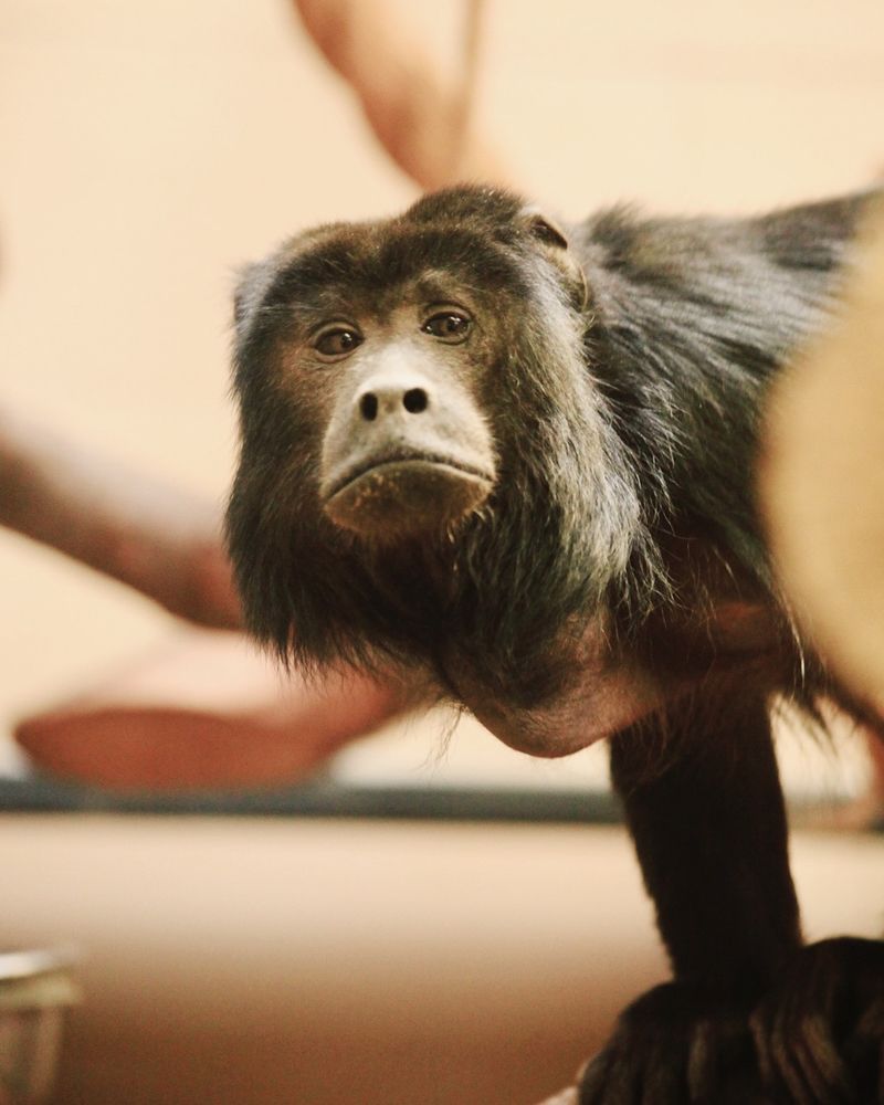 Фотография автора Galina Sa