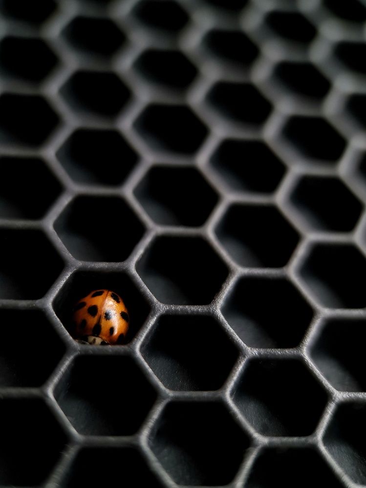 Photograph by Светлана Смирнова