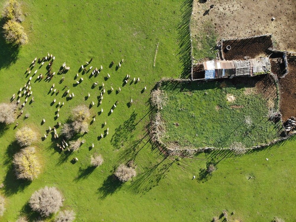 Photograph by mohammad hossein moheimani