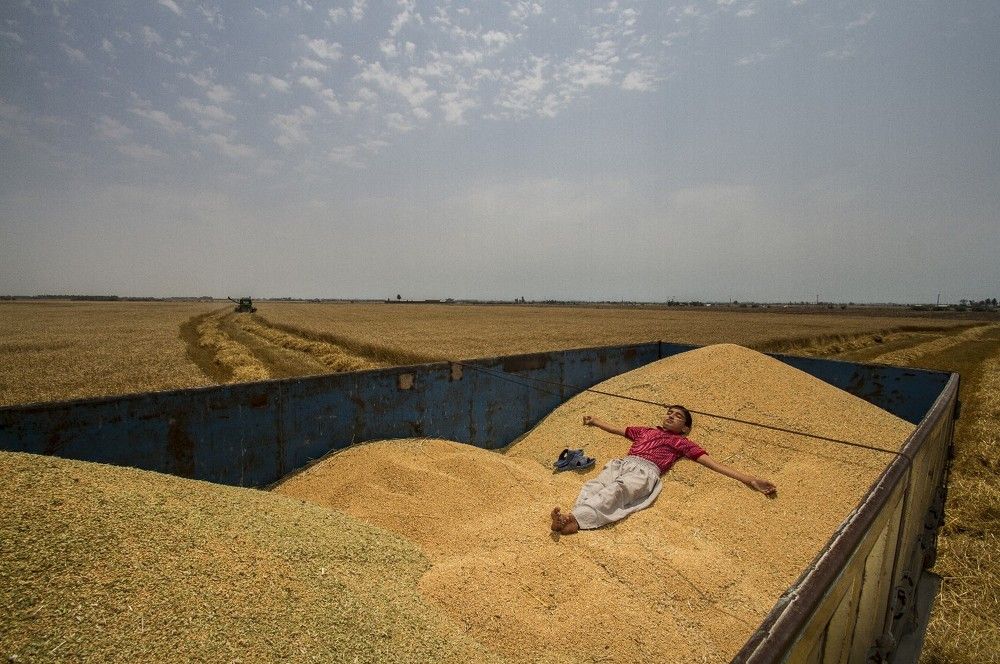 Photograph by mohammad hossein moheimani