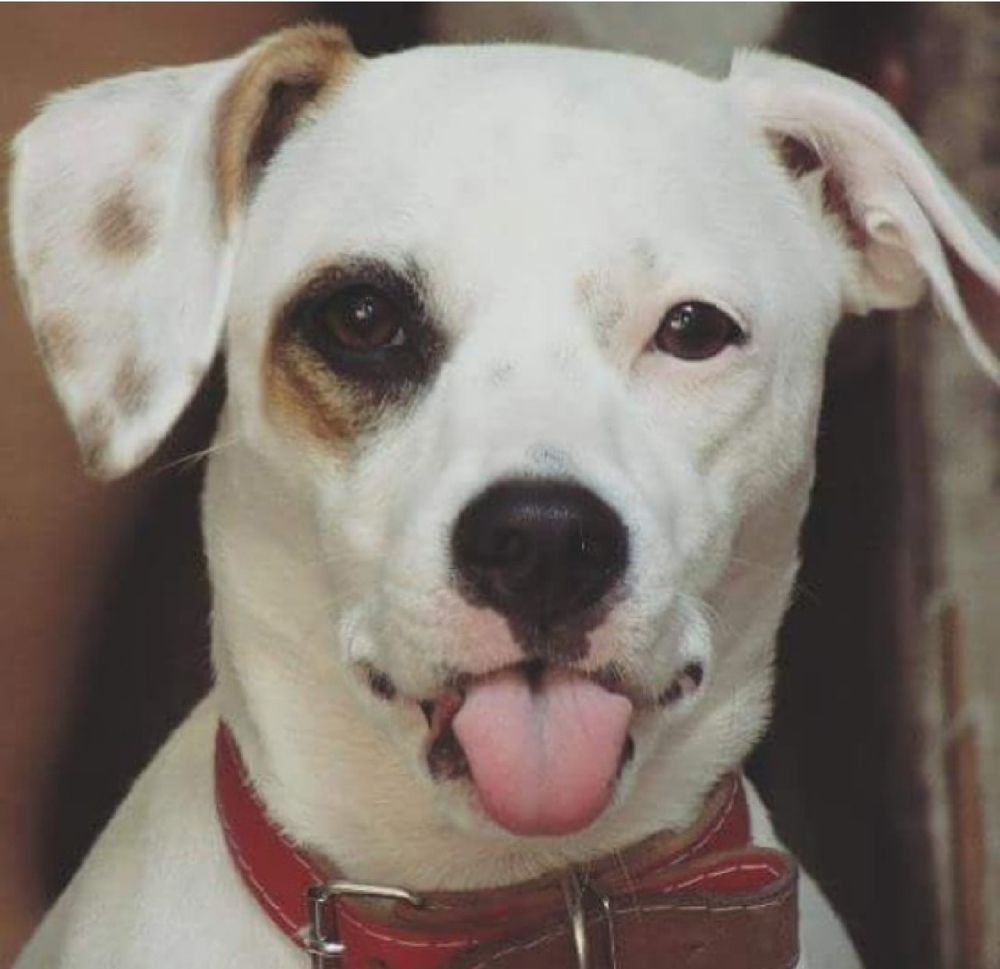 Photograph by Mônica Rodrigues