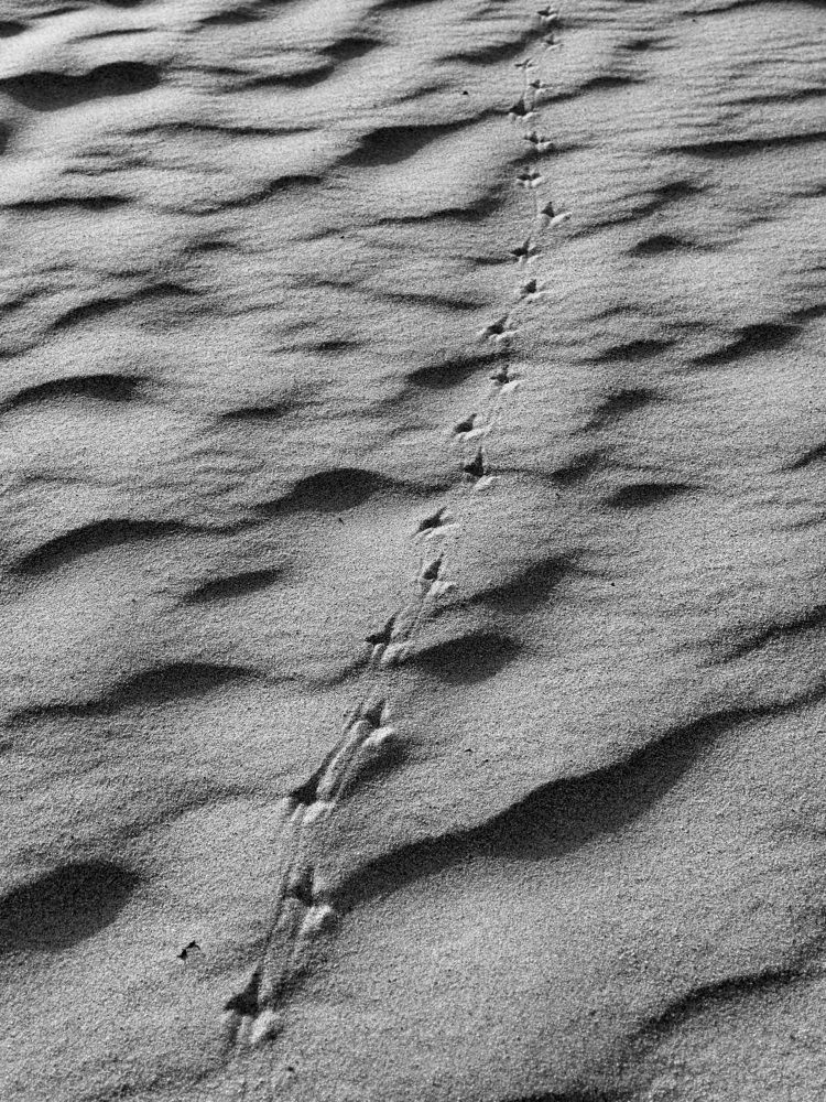 Photograph by Евгения Казакова