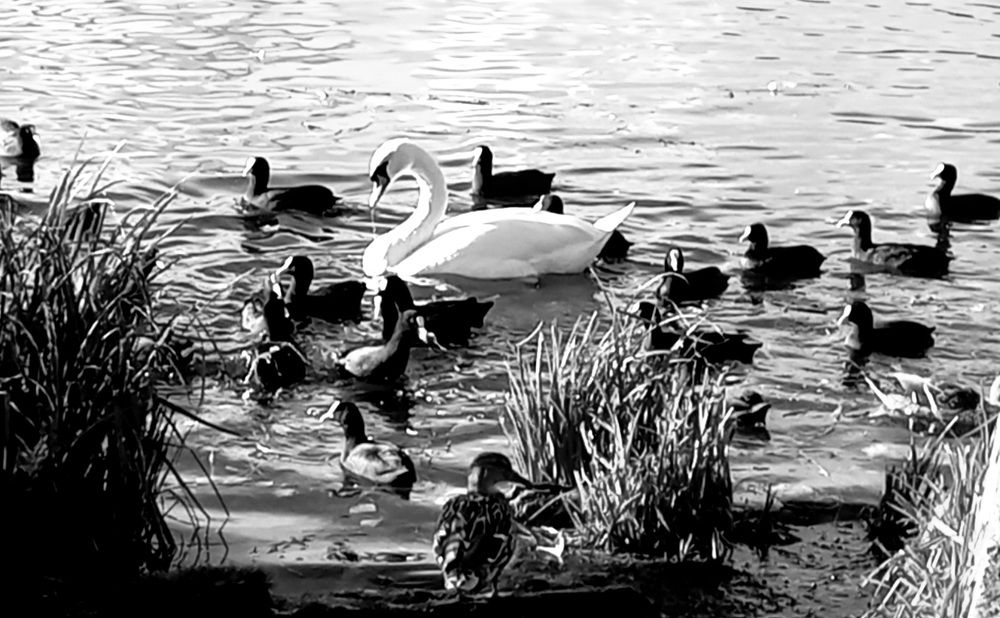 Photograph by Евгений Савулькин