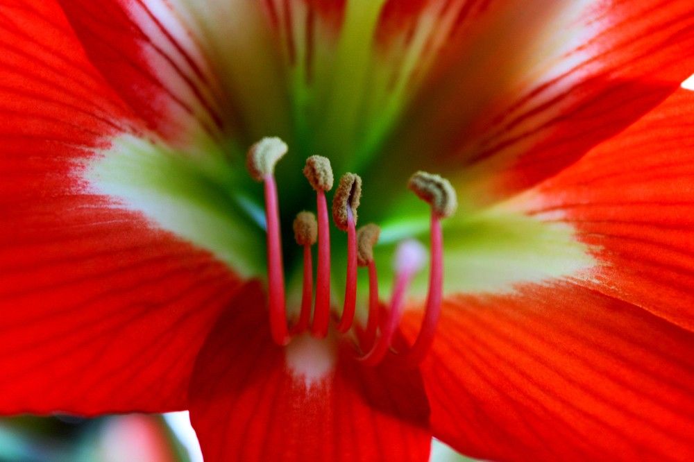 Photograph by Дмитрий Симагин