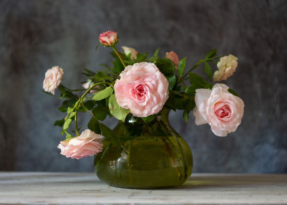 Photograph by Елена Мустафина