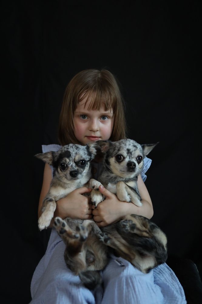 Photograph by Юлия Касьяненко