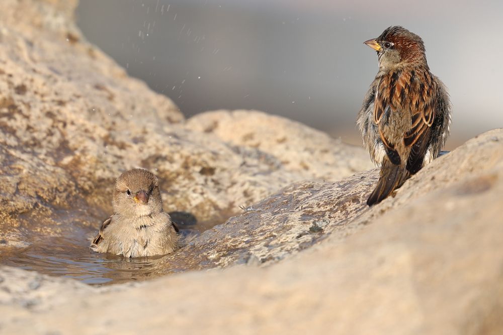 Photograph by Екатерина Якель