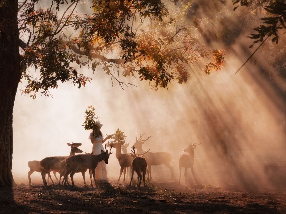 Photograph by Henri Fitriadi