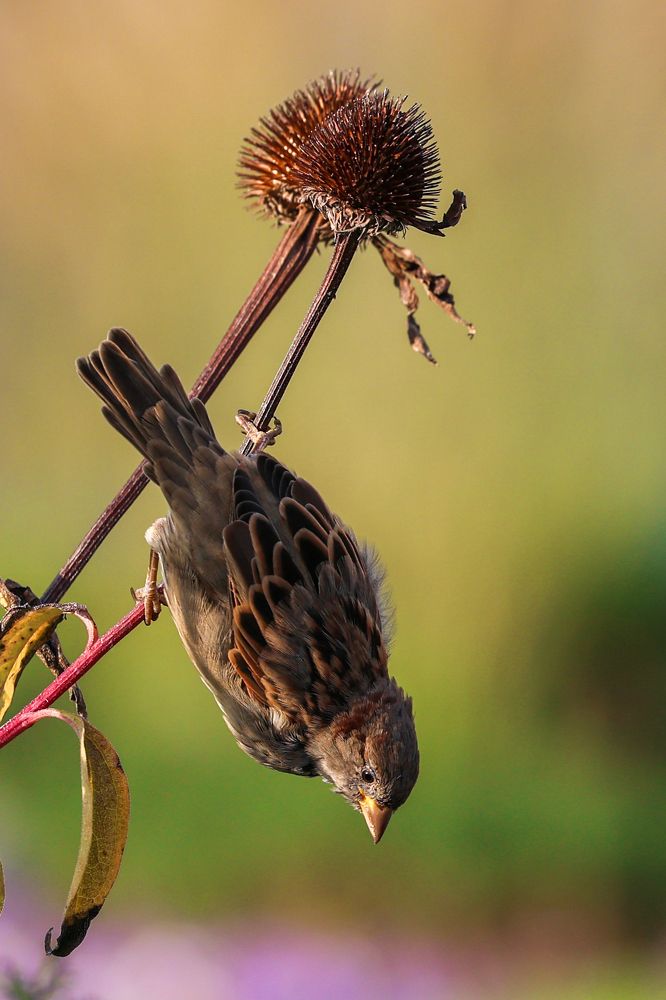 Photograph by Екатерина Якель