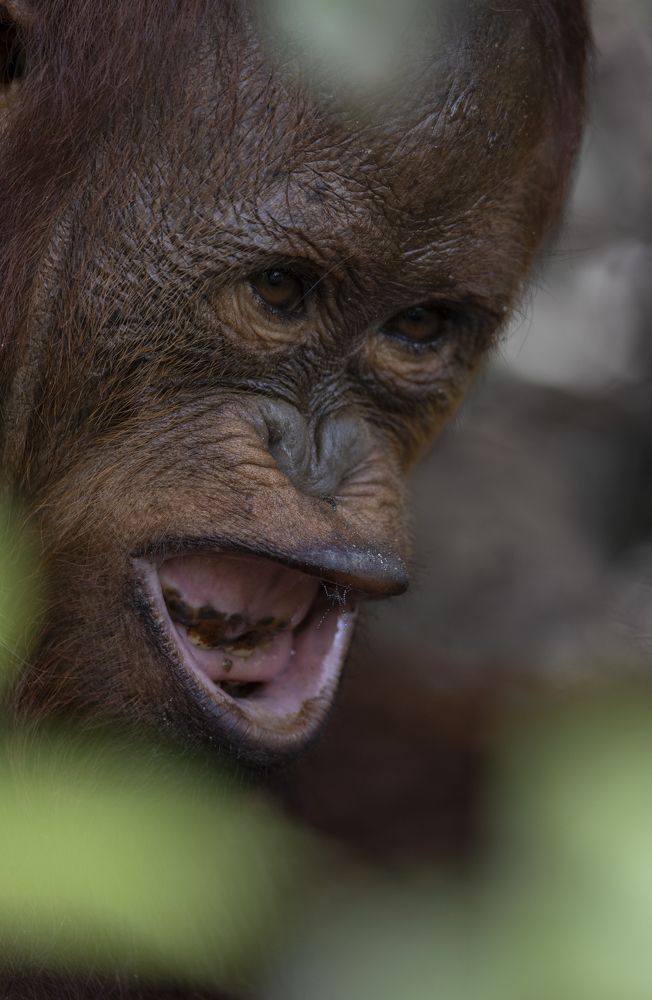 Фотография автора Anil Prabhakar