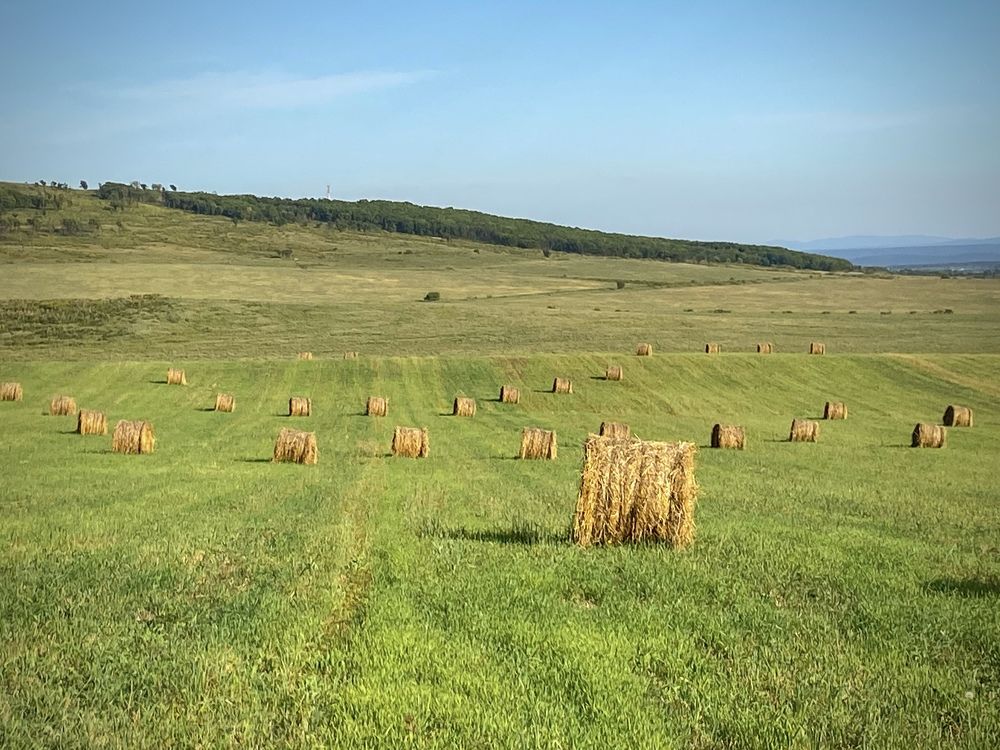 Photograph by Олег Волков