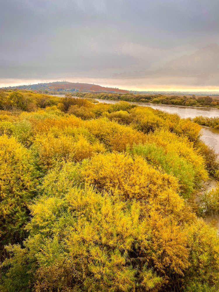 Photograph by Олег Волков