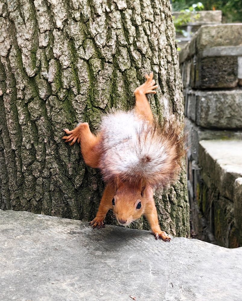 Photograph by Maiya Bulatova