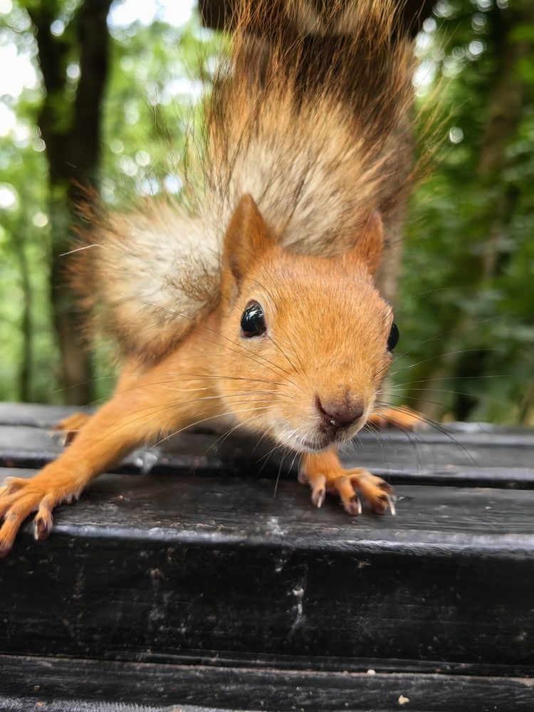 Photograph by Maiya Bulatova