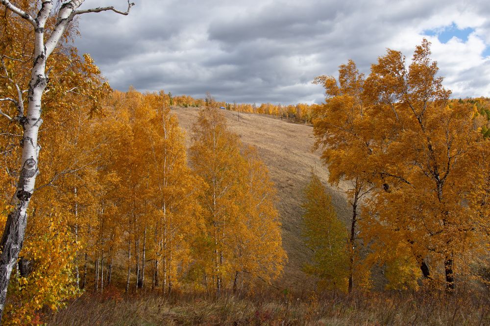 Photograph by Олег Маменко