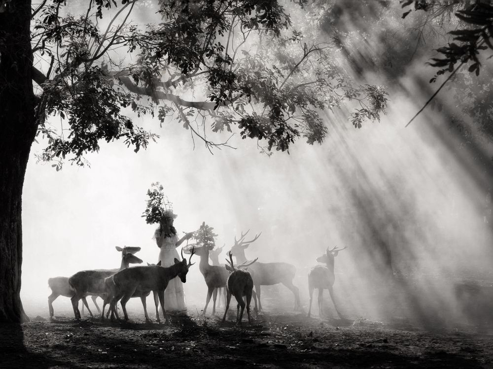 Photograph by Henri Fitriadi