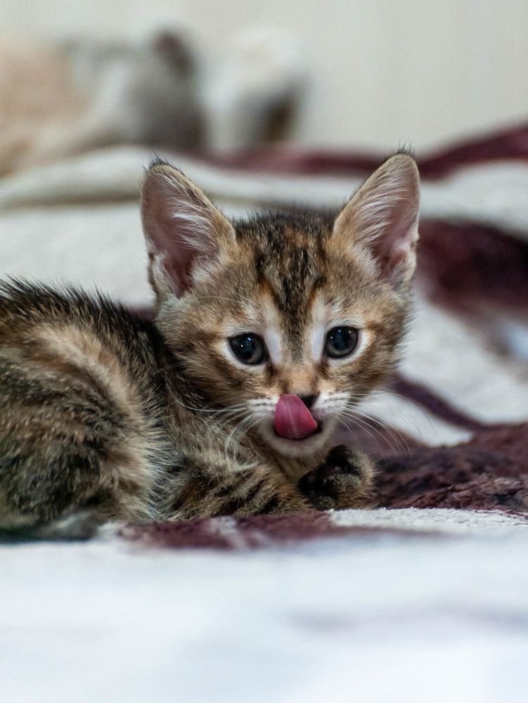 Photograph by Вадим Басов