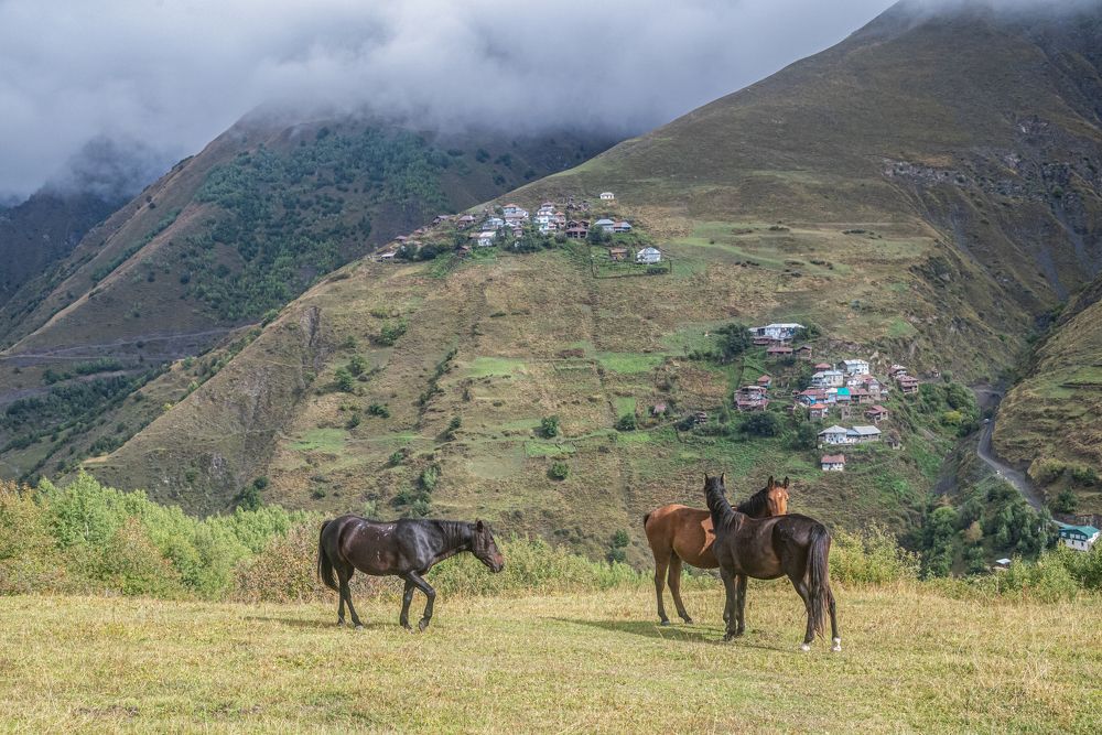 Photograph by Савчук Сергей