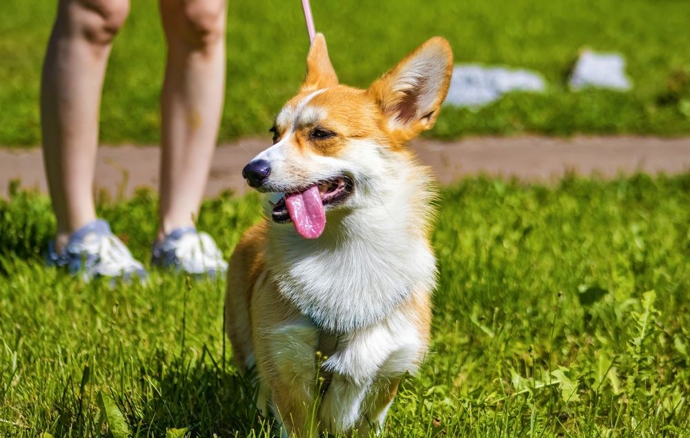 Photograph by Dark Ambient