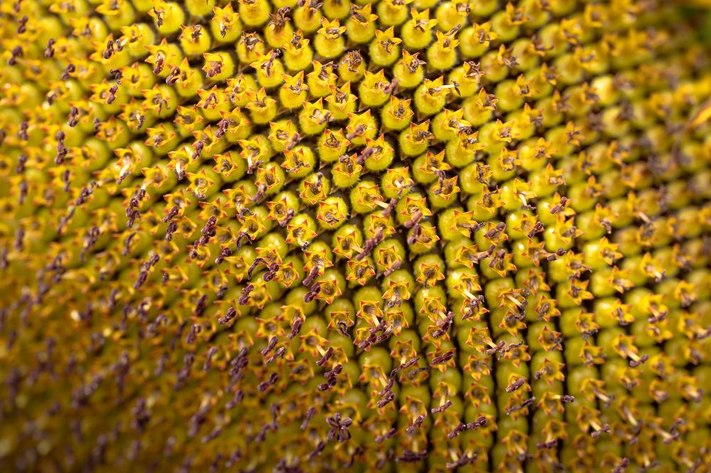 Фотография автора Erik Nelson