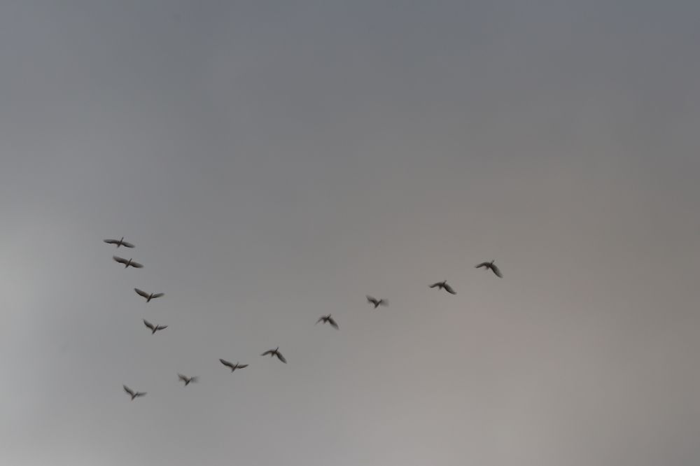 Photograph by Juliana